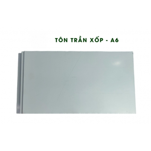 Tấm Panel tôn trần xốp - A06